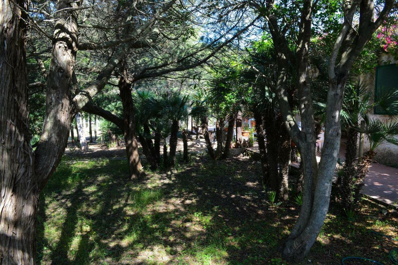 Villa Margherita 阿尔盖罗 外观 照片