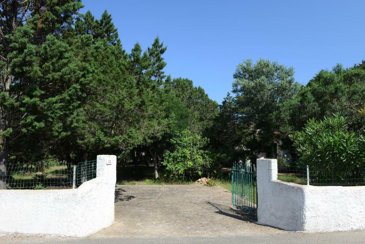 Villa Margherita 阿尔盖罗 外观 照片